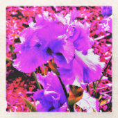 Abstrakte Ultra-Violet Lila Iris auf Red Glasuntersetzer (Vorderseite)