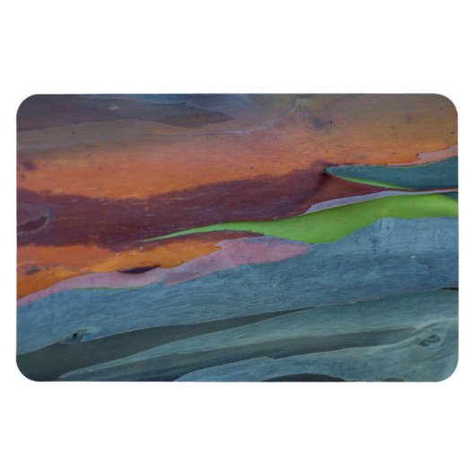 Abstrakte von Rainbow-Gum Magnet (Horizontal)