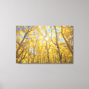 Abstrakten Wildblumen von Gilia Amidst  Kalifornie Leinwanddruck