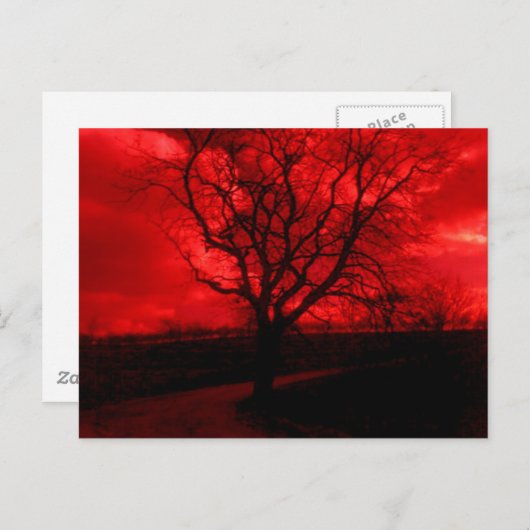 Abstrakter Baldbaum Postkarte (Vorne/Hinten)