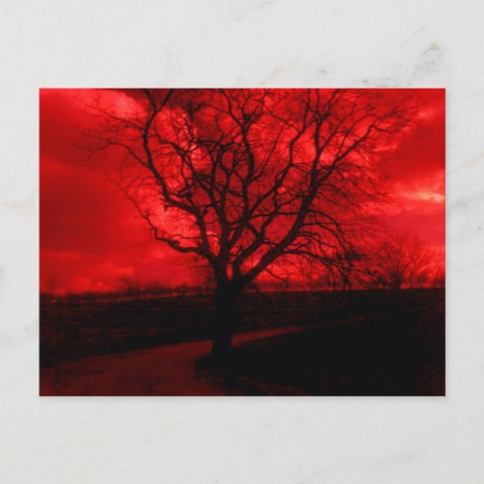 Abstrakter Baldbaum Postkarte (Vorderseite)