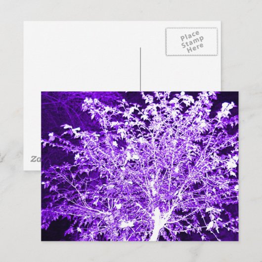 Abstrakter Baum Postkarte (Vorne/Hinten)