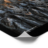 Abstrakter Baumstamm Barkholzmuster Poster (Ecke)