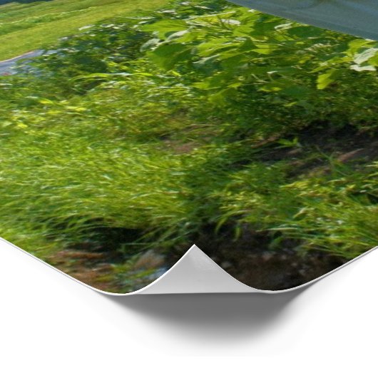 Abstrakter Gartenfeldspiegel Poster (Ecke)