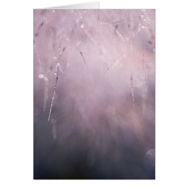 Abstrakter Grasschutt Blauer brauner Hintergrund (Vorne)