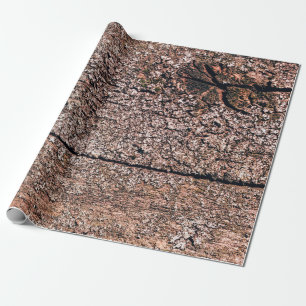 abstrakter Hintergrund aus der alten Holzstruktur Geschenkpapier