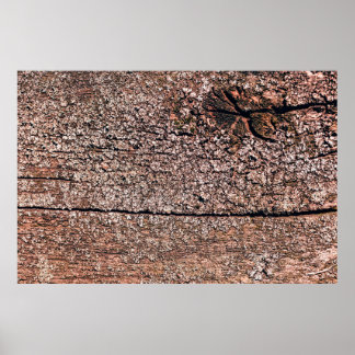 abstrakter Hintergrund aus der alten Holzstruktur  Poster