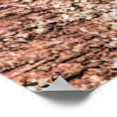 abstrakter Hintergrund aus der alten Holzstruktur  Poster (Ecke)