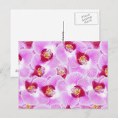 Abstrakter Hintergrund eines Orchid-Blume-Fotos Postkarte (Vorne/Hinten)