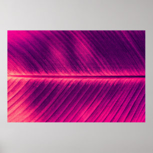 abstrakter Hintergrund, Vene aus Palmblättern, Ton Poster