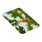 Abstrakter Impressionismus der verschneiten Pine Magnet (Rechte Seite)