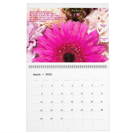 Abstrakter Kalender 2025 - MultiMediaSusan (Mär 2026)