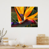 Abstrakter Paradies Poster (Küche)