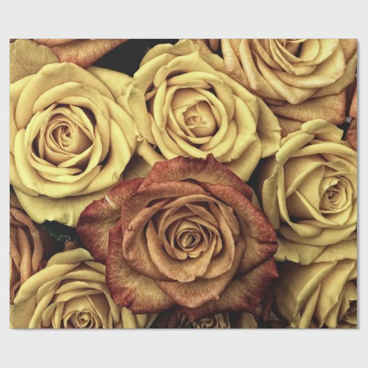 Abstrakter Pfirsich-FarbRosen-Garten-elegantes Geschenkpapier (Flach)