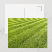 Abstrakter Streifen Postkarte (Vorne/Hinten)
