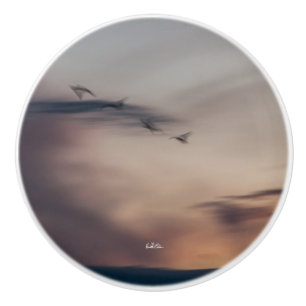 abstrakter Türgriff mit Vogelfoto Keramikknauf