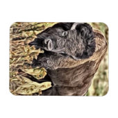 Abstrakter Western Buffalo Magnet (Horizontal)