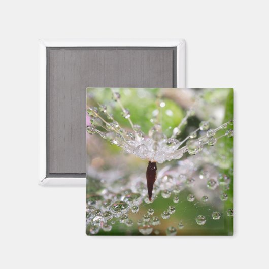 Abstrakter zarter Löwenzahn Magnet (Vorderseite/Rückseite)