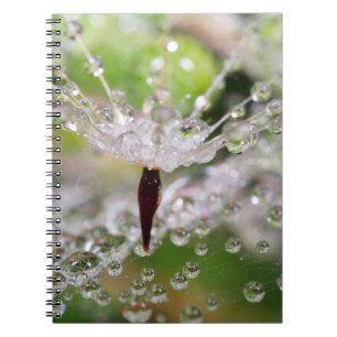 Abstrakter zarter Löwenzahn Notizblock