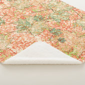 Abstraktes Acer Blätter auf zerkratztem Korallenbo Sherpadecke (3/4)