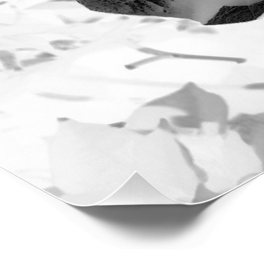 Abstraktes Blumendesign - rot und lila über weiß Poster (Ecke)