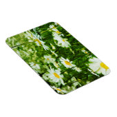 Abstraktes Feld der Wildledereien Magnet (Rechte Seite)