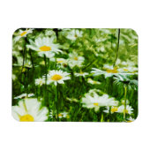 Abstraktes Feld der Wildledereien Magnet (Horizontal)