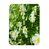 Abstraktes Feld der Wildledereien Magnet (Vertikal)