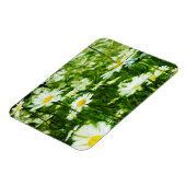 Abstraktes Feld der Wildledereien Magnet (Linke Seite)