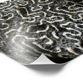 Abstraktes Foto der Schwarzen und Weißen Koralle I (Ecke)