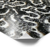 Abstraktes Foto der Schwarzen und Weißen Koralle I (Ecke)