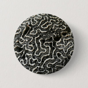 Abstraktes Foto der Schwarzen und Weißen Koralle I Button