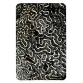 Abstraktes Foto der Schwarzen und Weißen Koralle I Magnet (Vertikal)