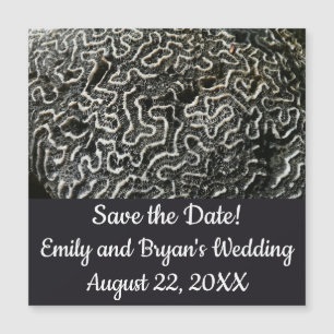 Abstraktes Foto der Schwarzen und Weißen Koralle I Magnetkarte