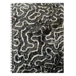 Abstraktes Foto der Schwarzen und Weißen Koralle I Notizblock