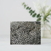 Abstraktes Foto der Schwarzen und Weißen Koralle I Postkarte (Stehend Vorderseite)