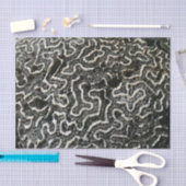 Abstraktes Foto der Schwarzen und Weißen Koralle I Seidenpapier (Handwerk)