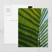 Abstraktes Fotografie-Grün-Blatt Postkarte (Vorne/Hinten)