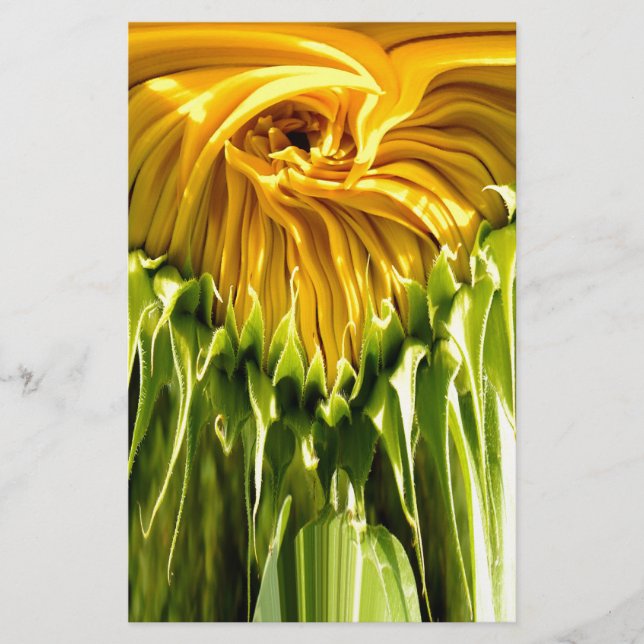 Abstraktes funky Retro Sonnenblume, ängstliche Geo (Vorderseite)