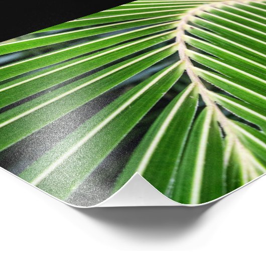 Abstraktes Grünpalmenblatt Fotodruck (Ecke)