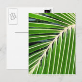 Abstraktes Grünpalmenblatt Postkarte (Vorne/Hinten)