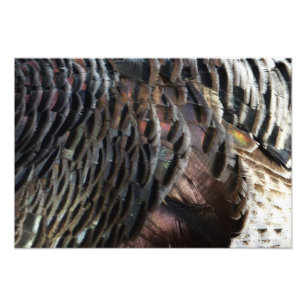 Abstraktes Naturdesign mit Wildtruthahnfedern Fotodruck