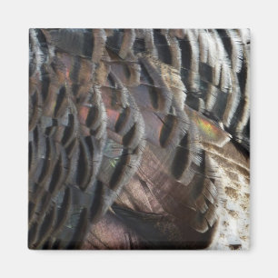 Abstraktes Naturdesign mit Wildtruthahnfedern Magnet