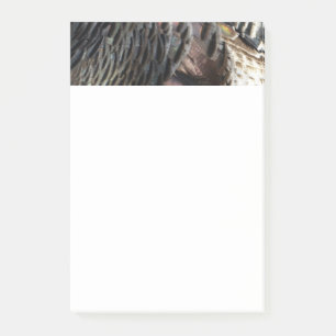 Abstraktes Naturdesign mit Wildtruthahnfedern Post-it Klebezettel
