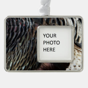 Abstraktes Naturdesign mit Wildtruthahnfedern Rahmen-Ornament Silber