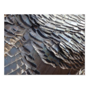 Abstraktes Naturdesign Wild Truthahn Federn II Fotodruck