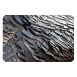 Abstraktes Naturdesign Wild Truthahn Federn II Magnet