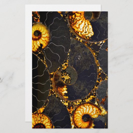 Abstraktes Nautilus-Muster Briefpapier (Vorne/Hinten)