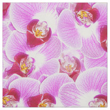 Abstraktes Orchideen-Natur-mit BlumenFoto BG