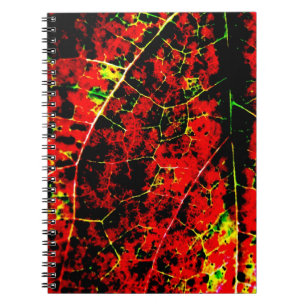 Abstraktes rotes Notebook Notizblock
